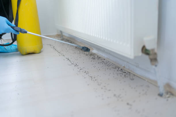 Best Residential Pest Control  in Belle Plaine, IA